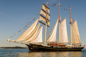 粉丝狂欢!洲际赛落幕,冠军队伍的庆功宴有多嗨